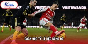 Cách Đọc Tỷ Lệ Kèo Bóng Đá Chuẩn Xác: Bí Quyết Soi Kèo Mới
